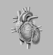 departments list img